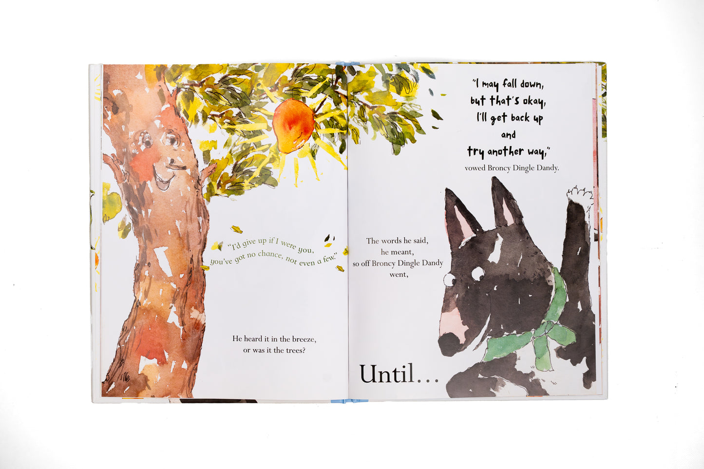 Hard Cover Book